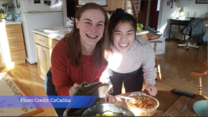 Driving Forces | CoCaSha