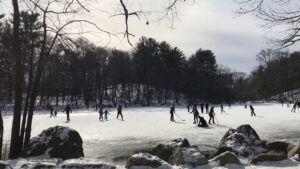 Scenes of the Season - February 2021