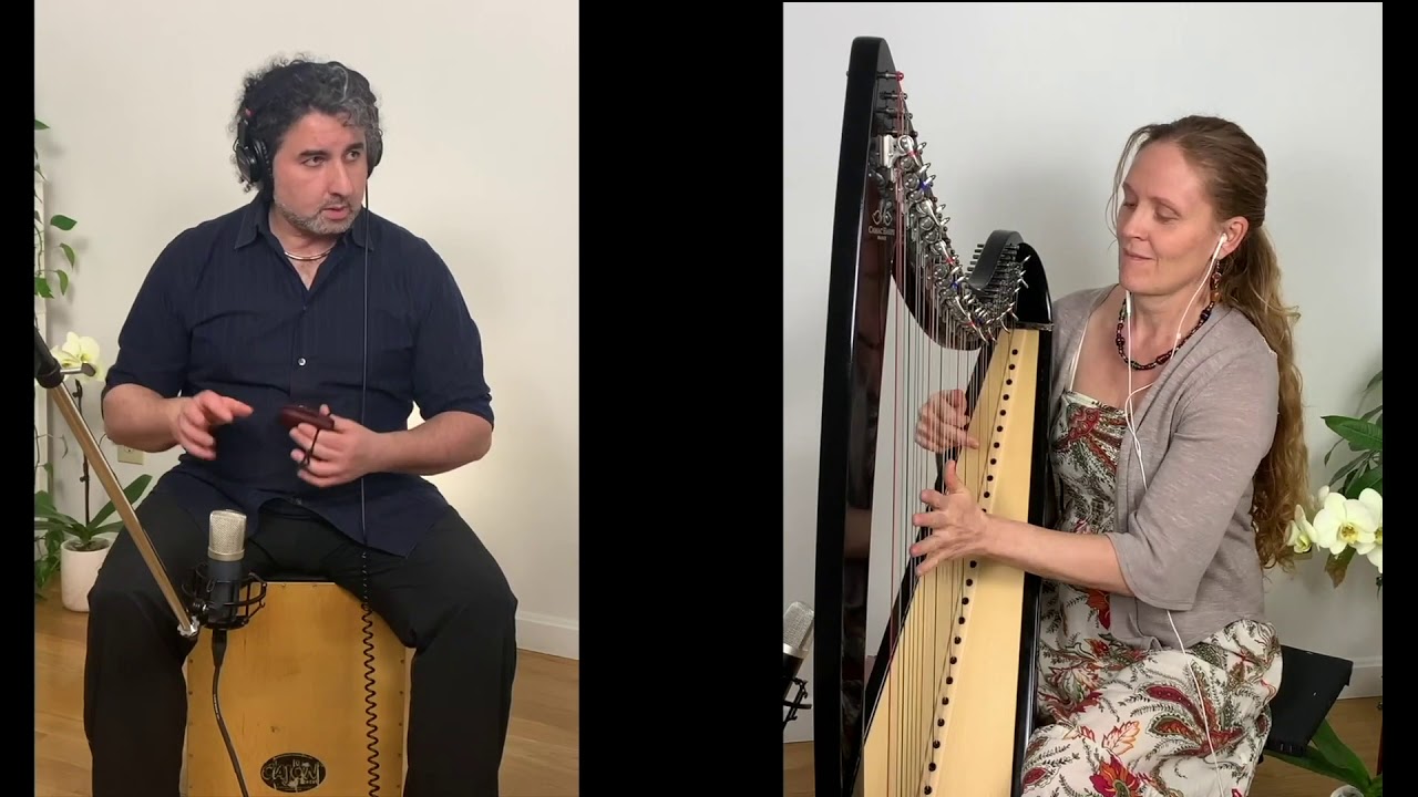 Friends of the Robbins Library - HarpBeat