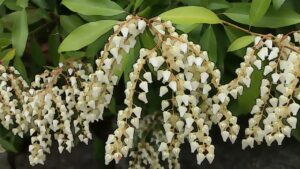 Winchester in the Spring