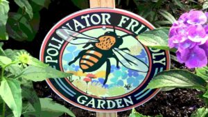 Scenes of the Seasons Pollinator Garden Heights